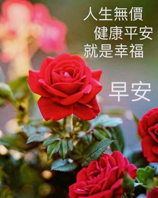 按我可連結至更清楚的圖片